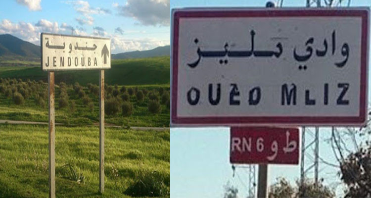 المجلس المحلي بوادي مليز يطالب باسناد رخص جديدة في قطاع النقل غير المنتظم