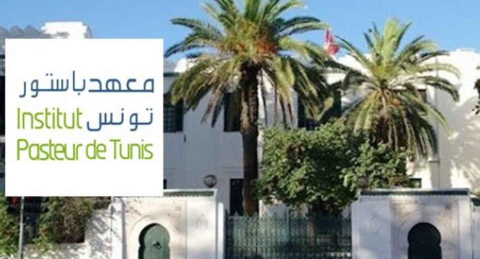 لقاء بين مديري معهد باستور والمركز الإفريقي للتميز من أجل الأسواق الشاملة يبحث آفاق التعاون بين المؤسستين