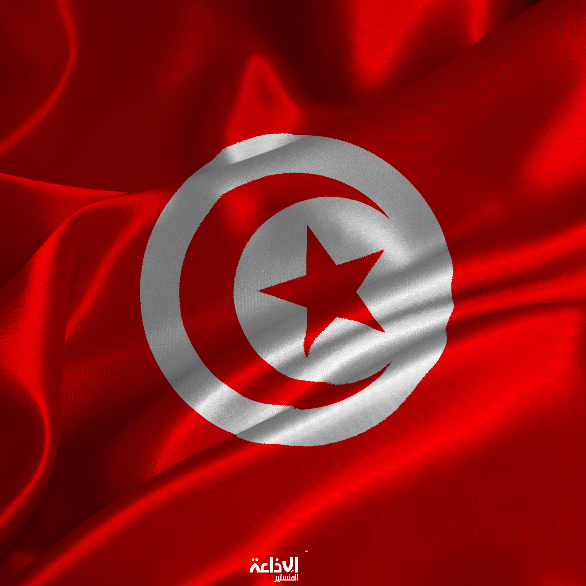 البعثة الدائمة بجنيف تؤكد حرص تونس على مواصلة تعاونها البناء مع الآليات والولايات الأممية لحقوق الانسان