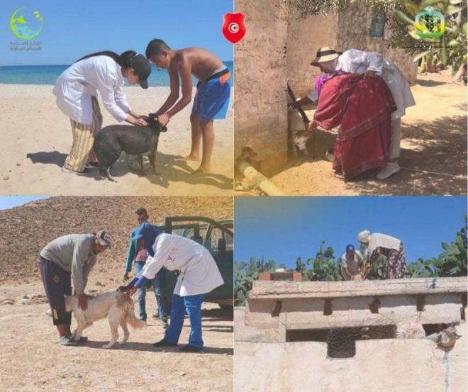 وزارة الفلاحة تحيي اليوم العالمي لمقاومة داء الكلب تحت شعار "معا... أقوى"
