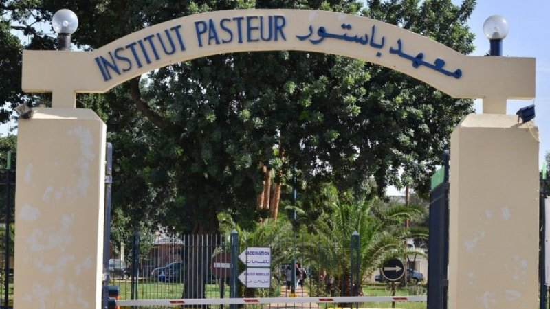 أبحاث بمعهد باستور لتطوير تحليل دم للكشف المبكر عن مرضى السكري الأكثر عُرضة للإصابة بألزهايمر