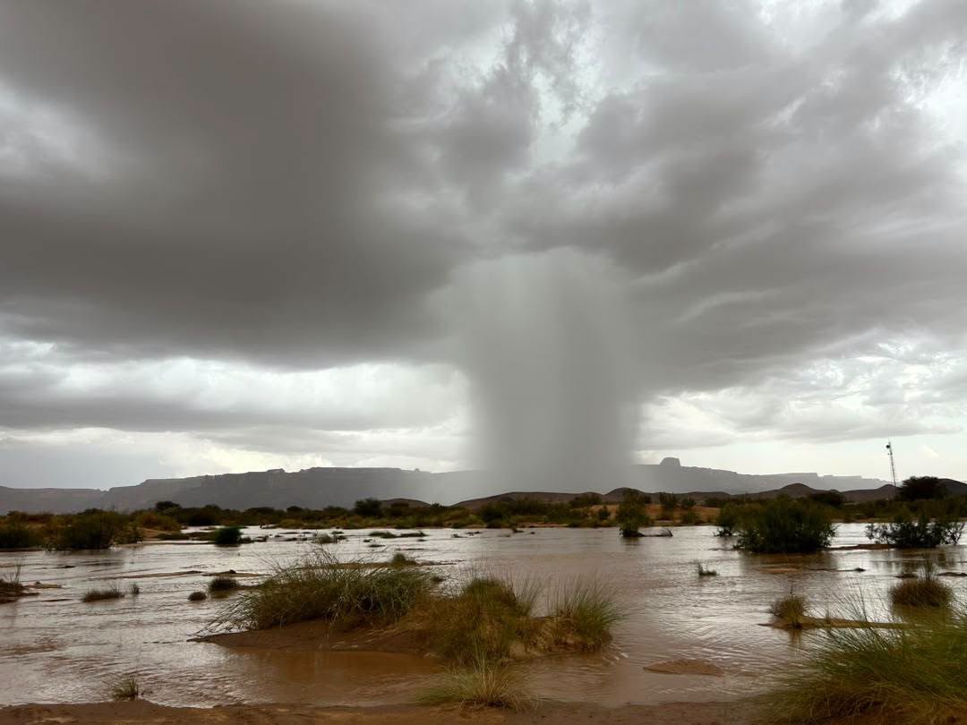 طقس اليوم: سحب عابرة بأغلب الجهات