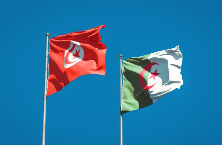 الوكالة الجزائرية لترقية الاستثمار تؤكد استعدادها لمرافقة المستثمرين التونسيين وتيسير إنجاز مشاريعهم