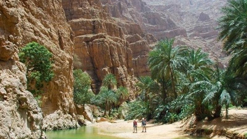 توزر: عمليات تفقد سياحي وتدخلات متنوعة للعناية بالنظافة في المواقع السياحية