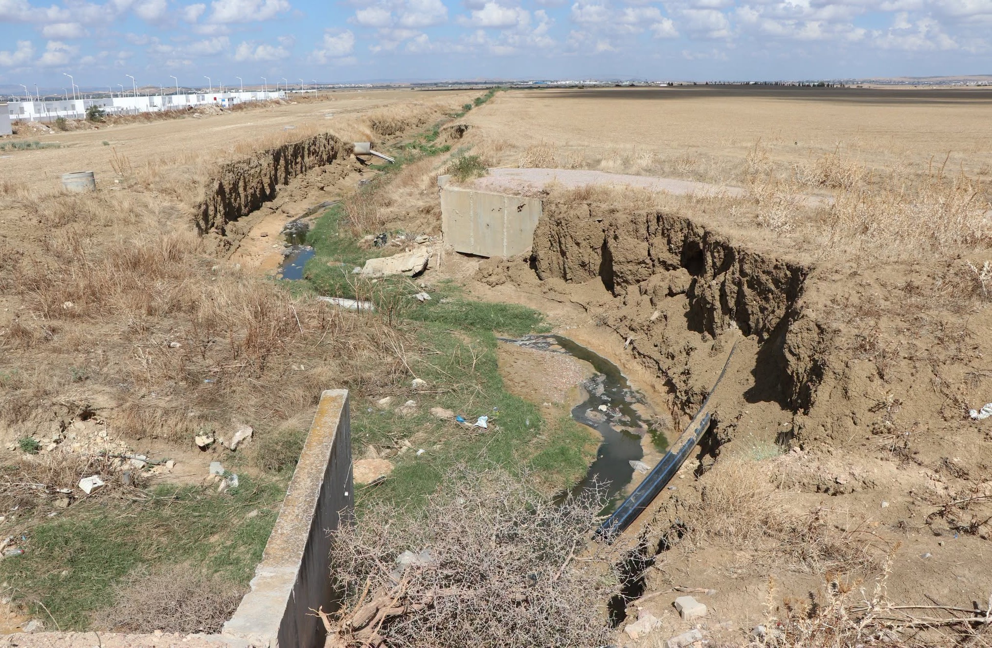 مراقبة مصادر التلوث لحماية وادي مجردة