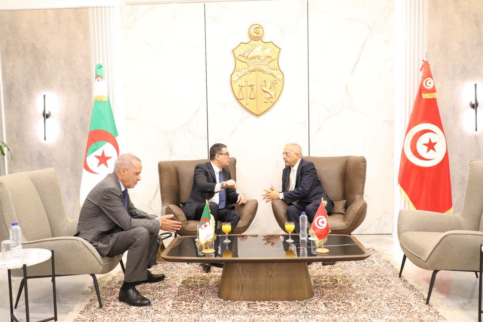 تطوير التعاون في التطبيب عن بُعد وتكوين الفرق الصحية محاور لقاء وزير الصحة بنظرائه من الجزائر وليبيا وموريتانيا