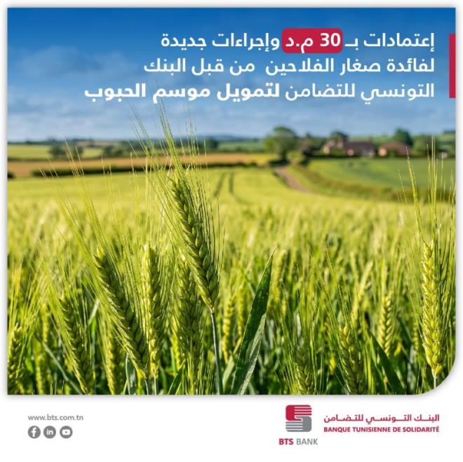 البنك التونسي للتضامن يخصص إعتمادات بقيمة 30 مليون دينار لفائدة صغار الفلاحين لتمويل موسم الحبوب