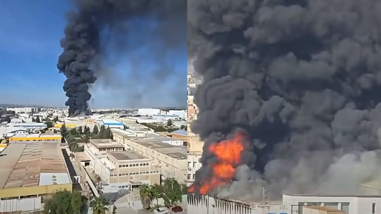 منوبة: تواصل جهود الحماية المدنية لإخماد حريق بمصنع للزوارق بالمنطقة الصناعية قصر السعيد