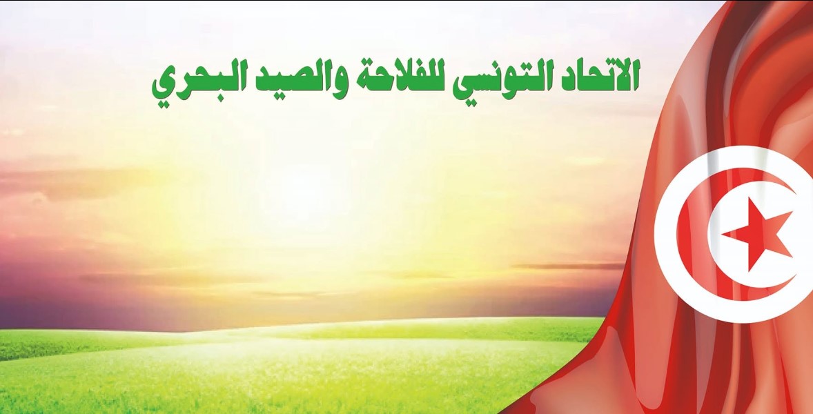 الاتحاد التونسي للفلاحة يدعو إلى اعتماد الإجراءات والآليات الكفيلة بحماية منظومات الإنتاج الوطنية