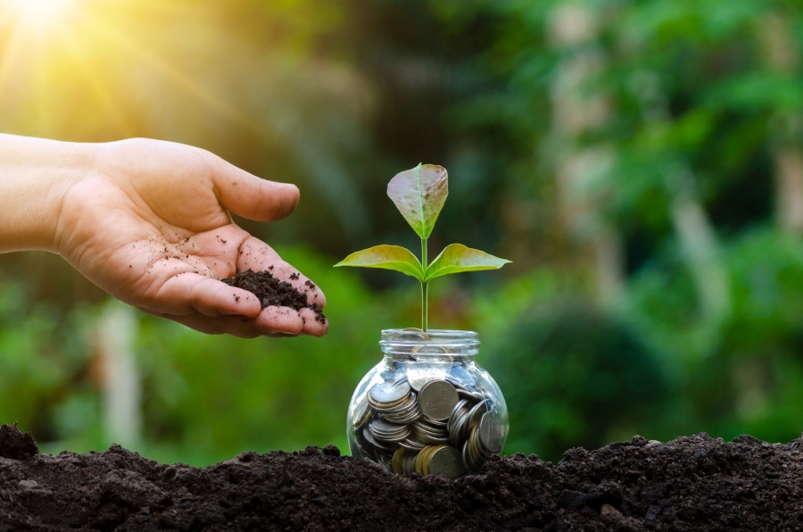 مشروع تسريع النمو الأخضر وخلق فرص العمل: فتح باب الترشحات للدفعة السادسة