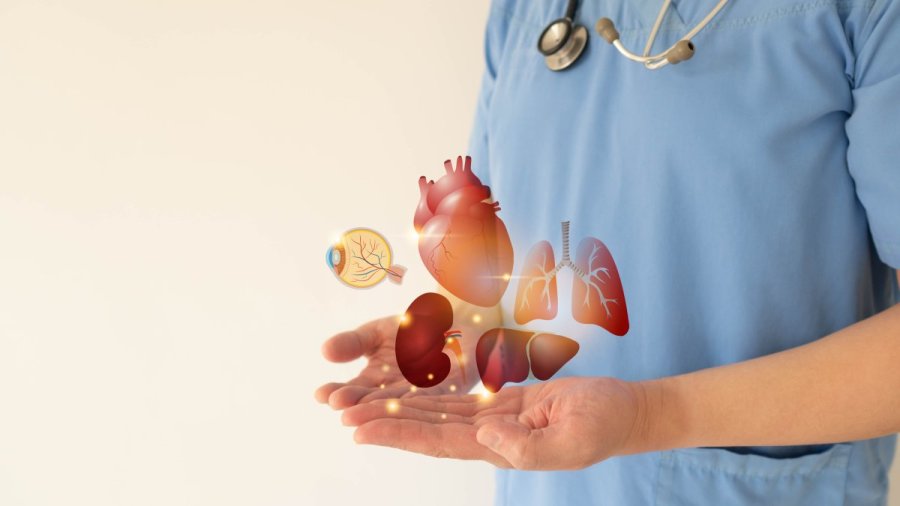 رفض 70% من العائلات أخذ الأعضاء من أقاربهم المتوفين