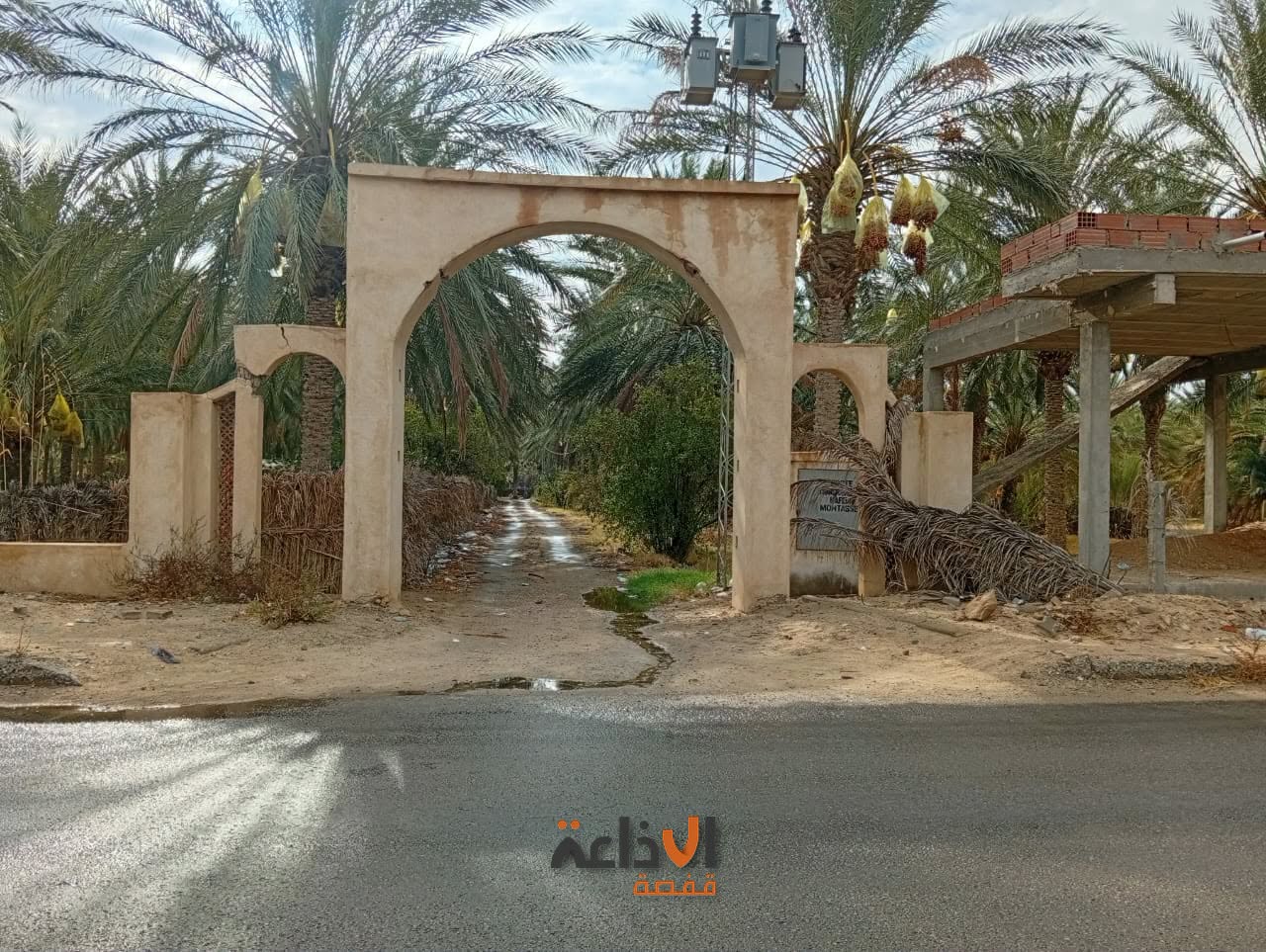  قبلي:  غيث نافع يساهم في  غسل  عراجين التمور قبل تغليفها ... و أمطار تنعش آمال الفلاحين بموسم تمور جيد