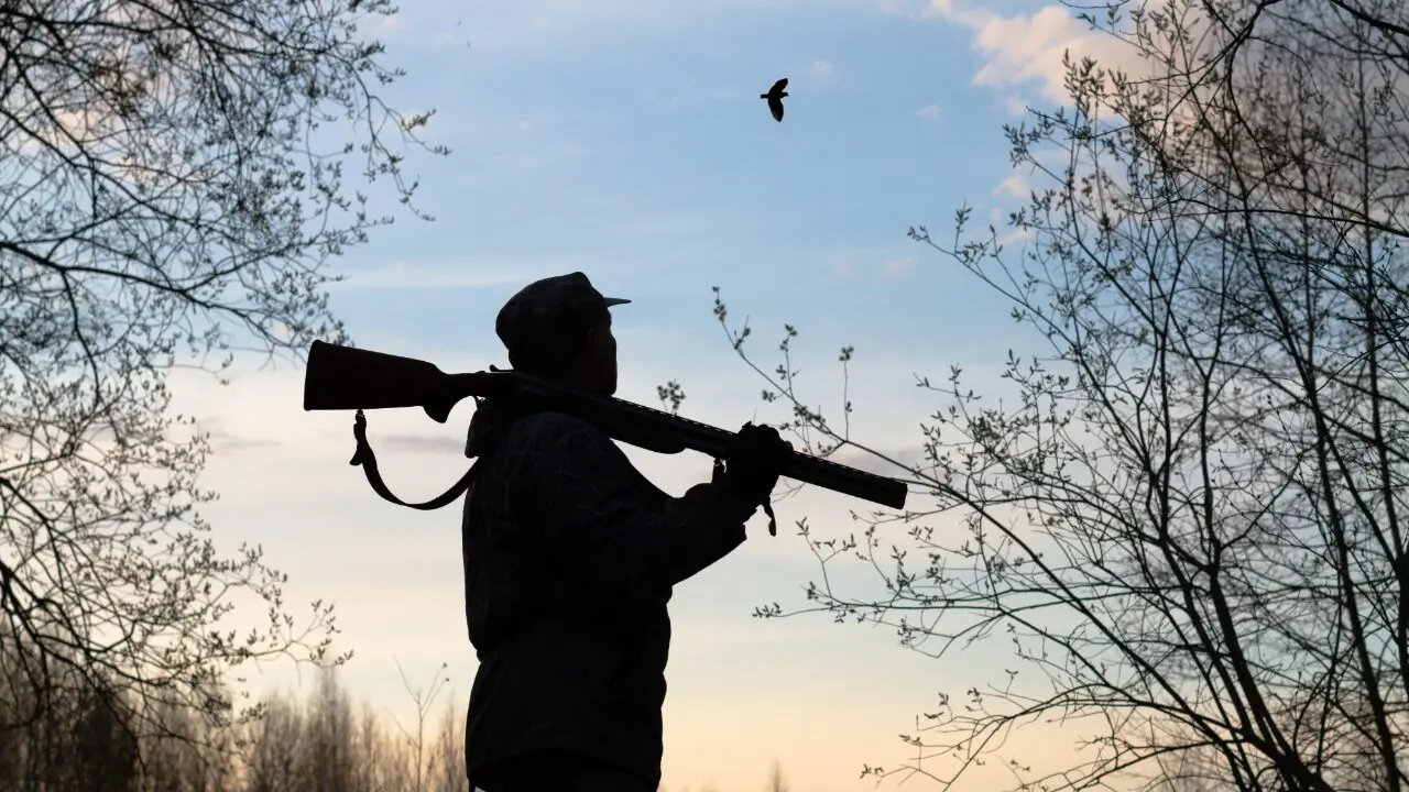 Saison de chasse : une ouverture sous haute vigilance