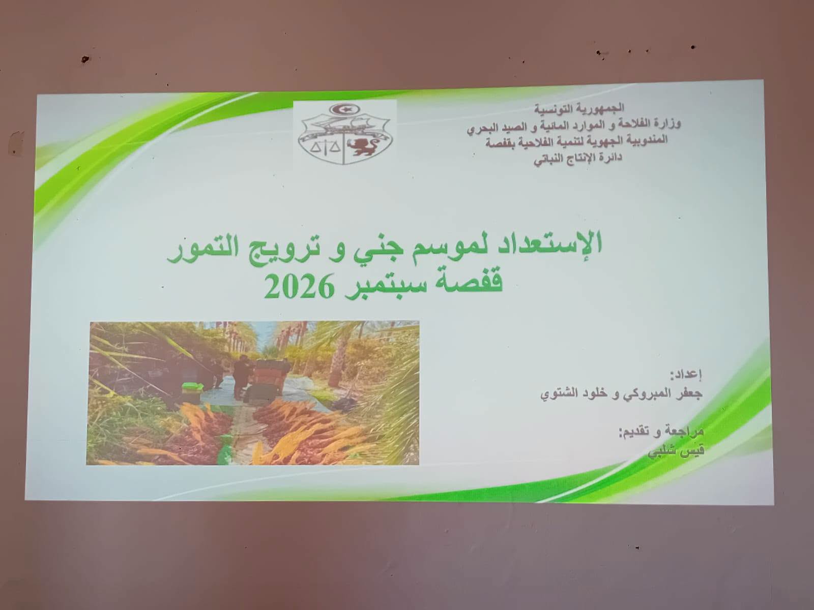 قفصة/ جني التمور: 14,700 أصل نخيل خلال موسم 2026/2027