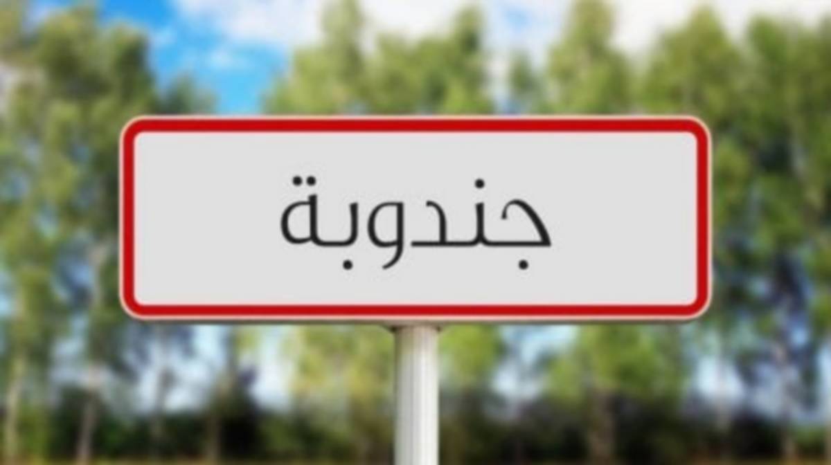 جندوبة: أساتذة التعليم الاعدادي والثانوي يطالبون بسدّ الشغورات ومعالجة البنية التحتية المتردية بعدد من المؤسسات التربوية
