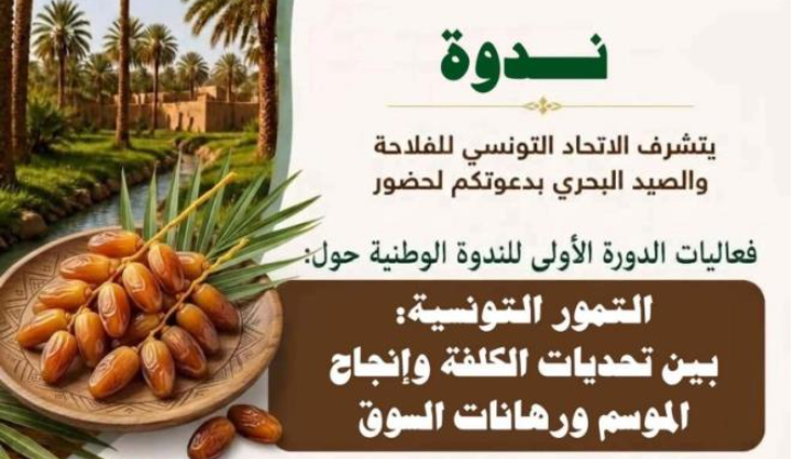 08 أكتوبر: اتحاد الفلاحة ينظم الدورة الأولى للندوة الوطنية حول التمور بتوزر