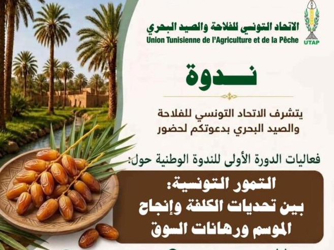 الاتحاد التونسي للفلاحة والصيد البحري ينظم الدورة الأولى للندوة الوطنية حول التمور بتوزر يوم 8 أكتوبر