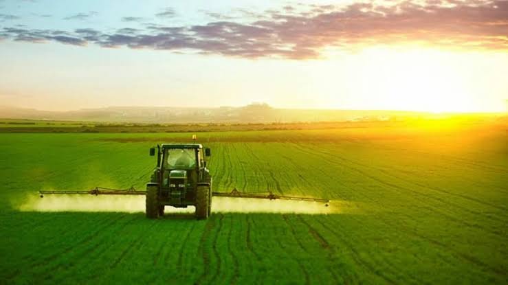 Le Kef : les établissements agricoles misent sur l’agroécologie et une agriculture plus durable