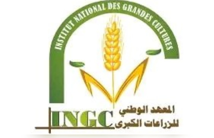  ورشة عمل لتحديد البرنامج الإرشادي  السنوي في زراعة الحبوب بالمعهد الوطني للزراعات الكبرى ببوسالم