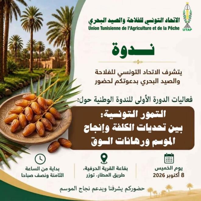 توزر: ندوة وطنية حول تحديات كلفة إنتاج التمور وآفاق تطوير السوق