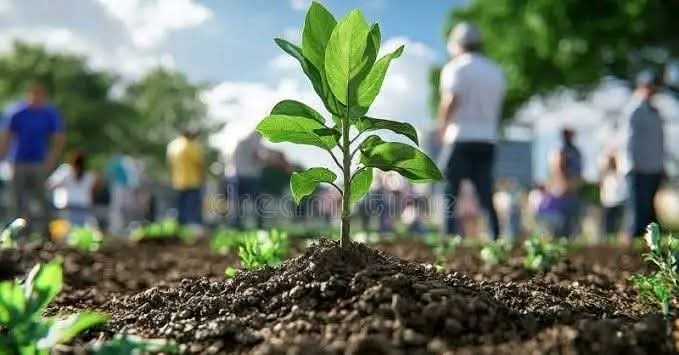 كنفدرالية المؤسسات المواطنة التونسية تعلن عن برنامج لغراسة مليون شجرة في تونس