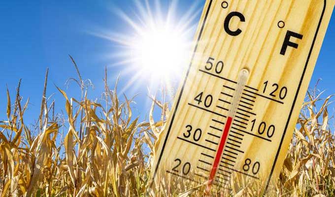 Météo : Une baisse des températures attendue en Tunisie