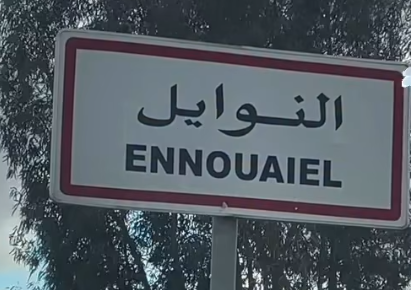قبلي: يوم إعلامي حول زراعة الكينوا بالواحات ودورها في تعزيز النظم الغذائية بنويل