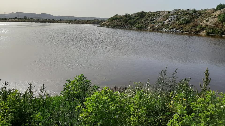 غدا السبت: جمعيّة أحبّاء الطيور تنظم  عملية مراقبة للطيور بسبخة أريانة
