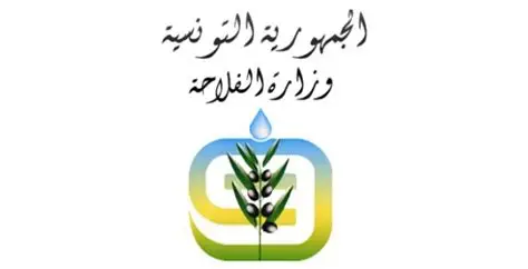 وزارة الفلاحة توصي باتباع تدابير للتوقي من الاصابات المرضية لغراسات الزيتون والأشجار المثمرة في ظل تساقط حجر البرد