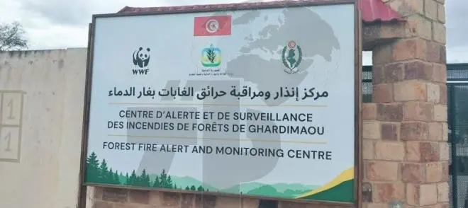 Jendouba : création d’un centre de surveillance des incendies de forêt à Ghardimaou