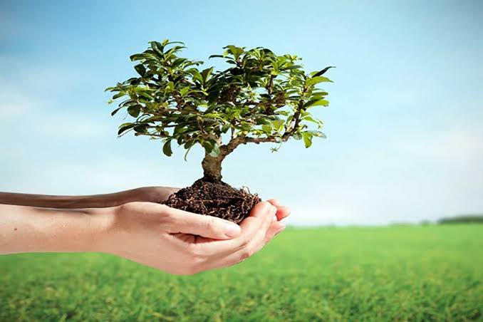 تونس تتجه نحو تحديث الجرد الوطني للتنوع البيولوجي في أفق 2028