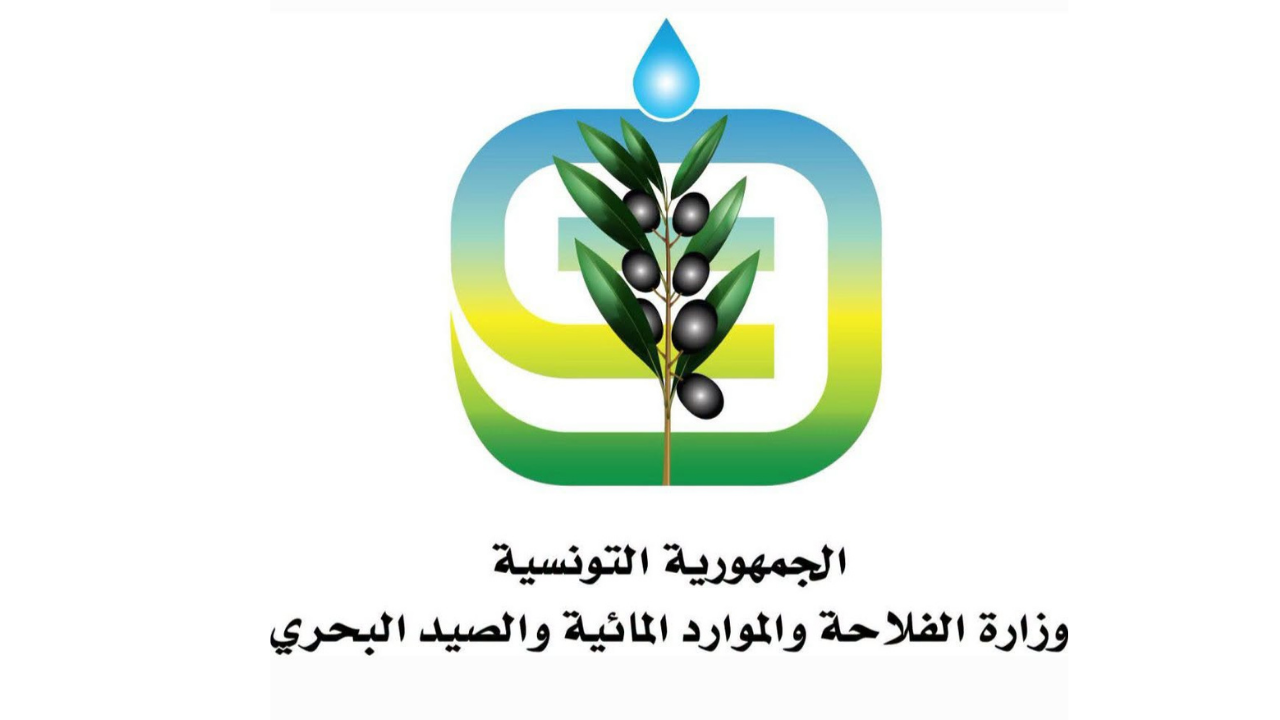 وزارة الفلاحة: تدخلات عاجلة لمقاومة مرض سل الزيتون