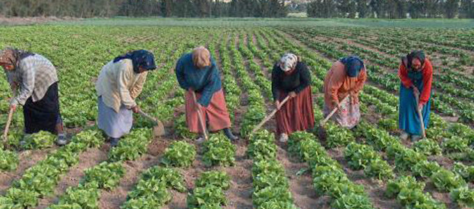 Journée internationale des femmes rurales : entre contributions essentielles et défis persistants