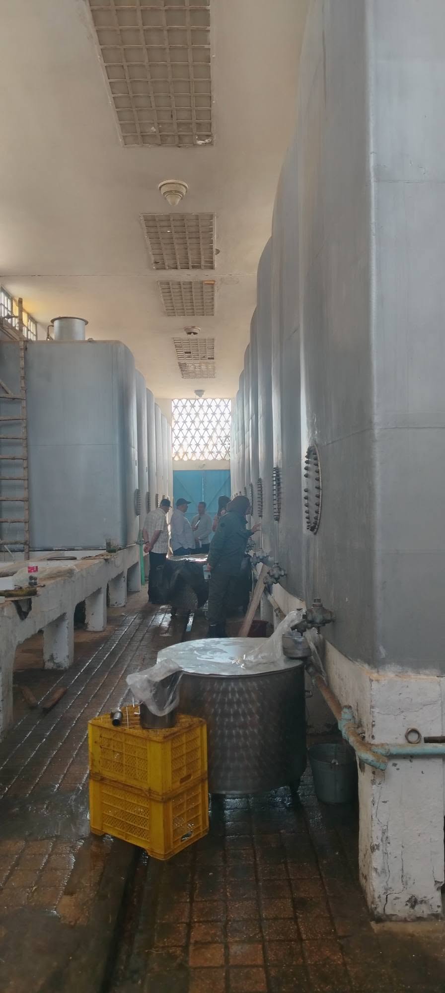 جندوبة :  زيارات ميدانية للمعاصر و مصبات المرجين  للوقوف  على مدى توفر الشروط المطلوبة 