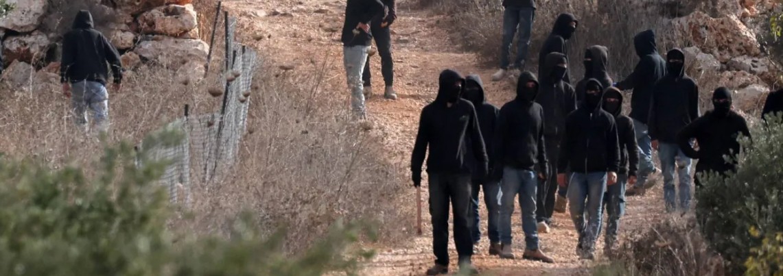 الضفة الغربية : مستوطنون يحرقون أشجار زيتون ويصيبون صحفية  