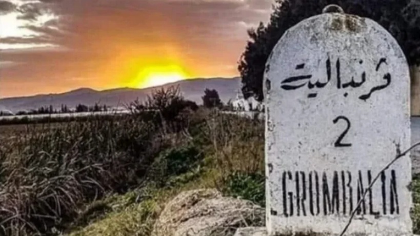 ولاية نابل تقرر سحب تصنيف الصنف الثالث من مصنع الذباب الأسود بقرمبالية، مع الإقرار بالغلق المؤقت للمصنع إلى حين رفع الإخلالات