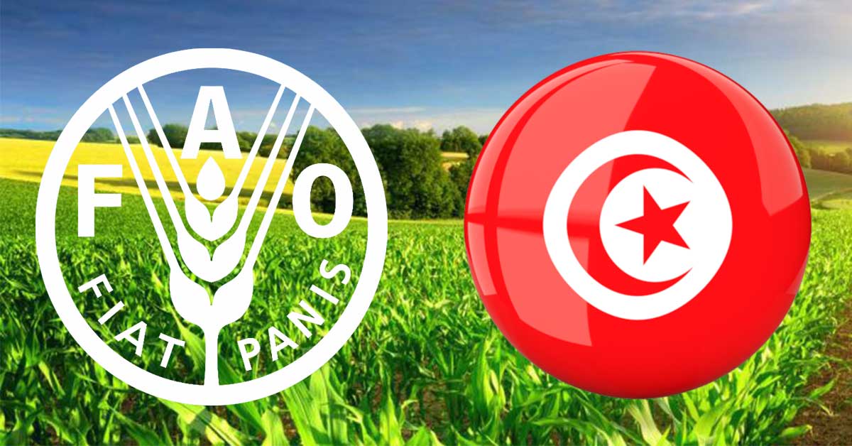 Agriculture en Tunisie : la FAO mise sur l’intelligence artificielle et l’irrigation intelligente pour une agriculture durable