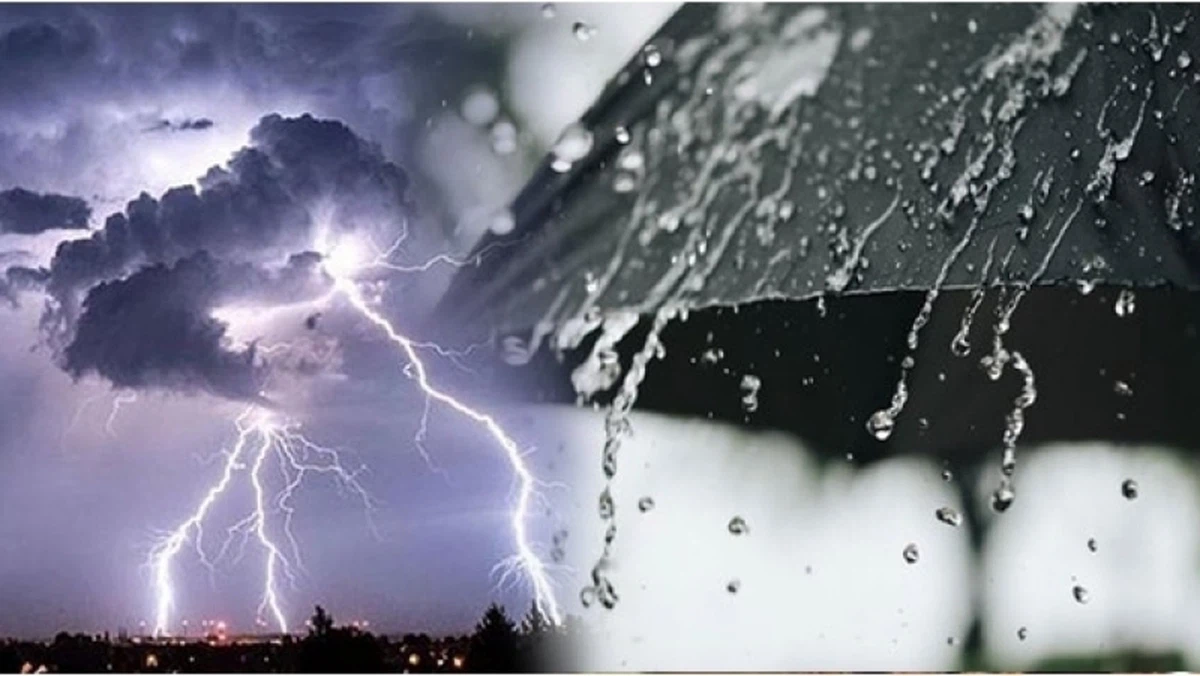 Météo en Tunisie : des orages et des pluies attendus dans plusieurs régions