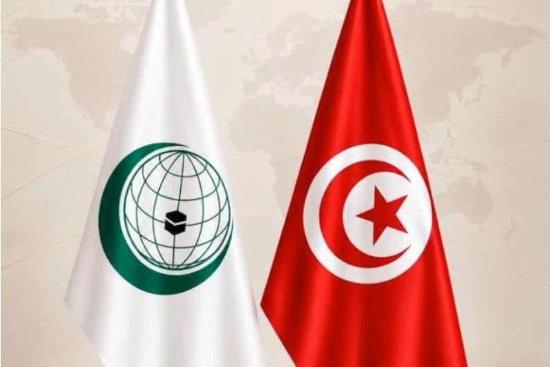 انتخاب المدير العام للشؤون القانونية بوزارة الشؤون الخارجية عضواً بهيئة حقوق الإنسان التابعة لمنظمة التعاون الإسلامي