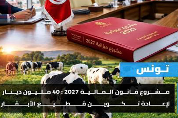 مقترح بتخصيص 40 مليون دينار لتمويل اعادة تكوين القطيع الوطني من الأبقار والمحافظة عليه.