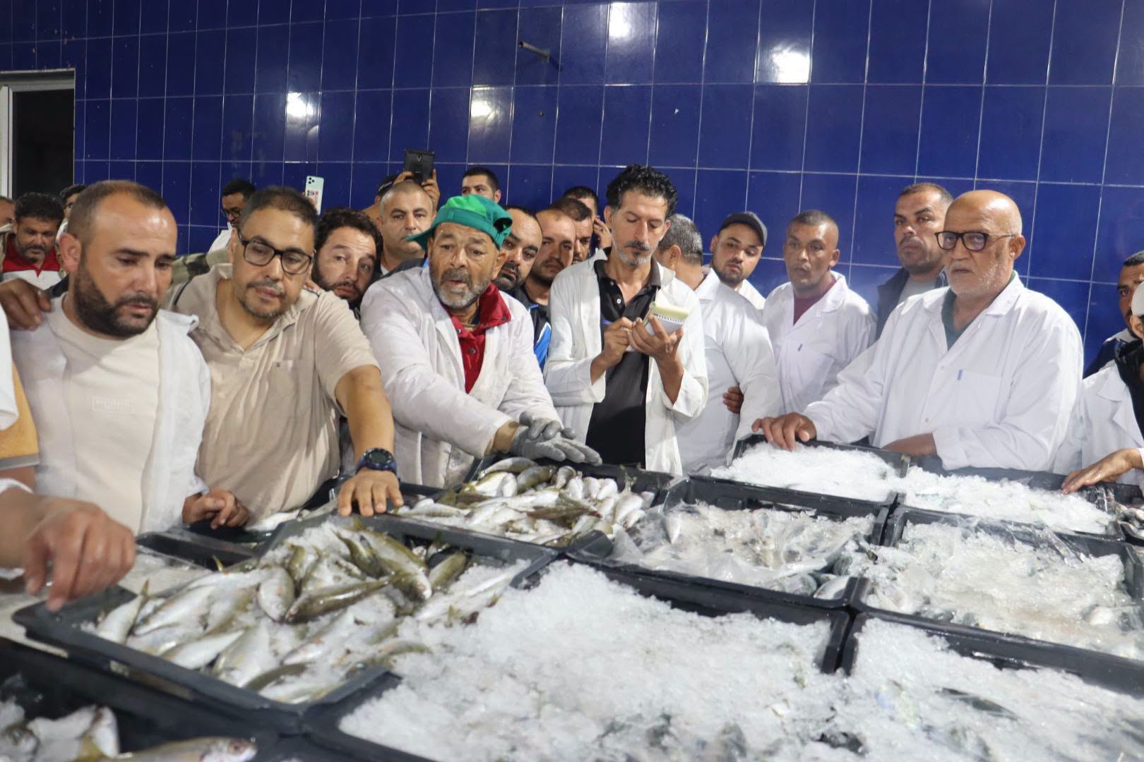 وزير التجارة: حريصون على توسيع قاعدة عرض المنتوجات الفلاحية ولابد من مزيد ترشيد أسعار  سوق الجملة