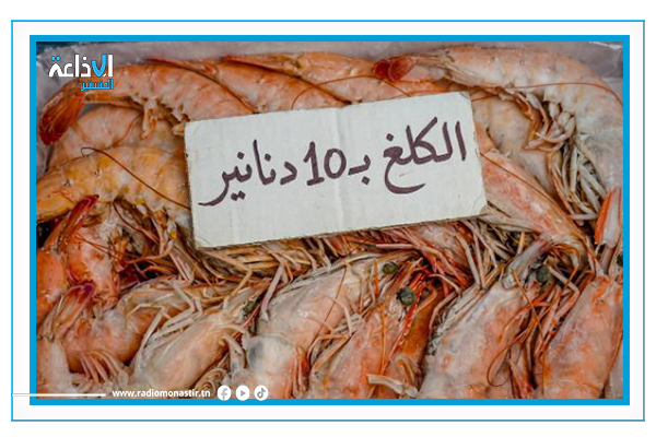 نجيب شويشة يوضح وفرة جراد البحر الوردي المعروض بأسواق السمك.