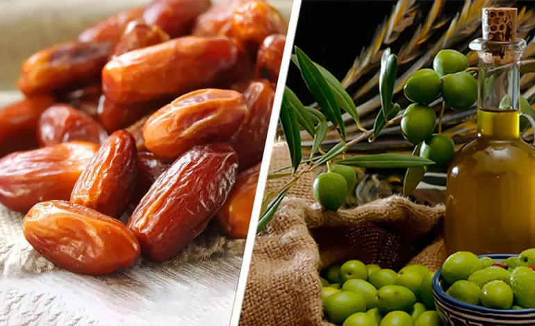 Bonne performance pour le bio tunisien à l'international : L'huile d'olive et les dattes boostent les recettes d'exportation à plus de 700 millions de dinars