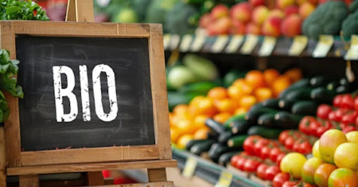 ارتفاع صادرات الفلاحة البيولوجية بأكثر من 32% خلال الأشهر التسعة الأولى من سنة 2026