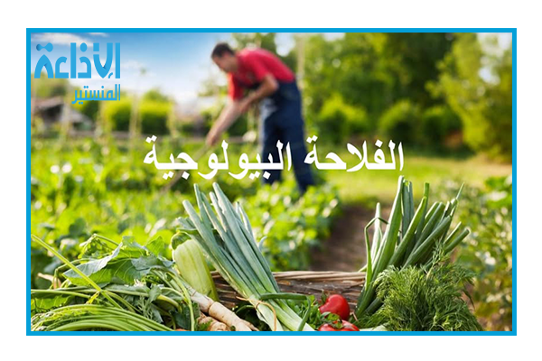 ارتفاع صادرات الفلاحة البيولوجية فيتونس بأكثر من 32% خلال الأشهر التسعة الأولى من سنة 2026.