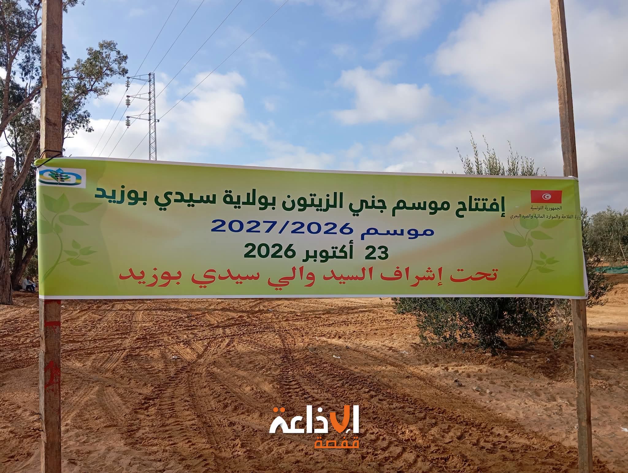 سيدي بوزيد : اليوم انطلاق موسم جني الزيتون و تقديرات اولية  بانتاج  350 ألف طن من الزيتون