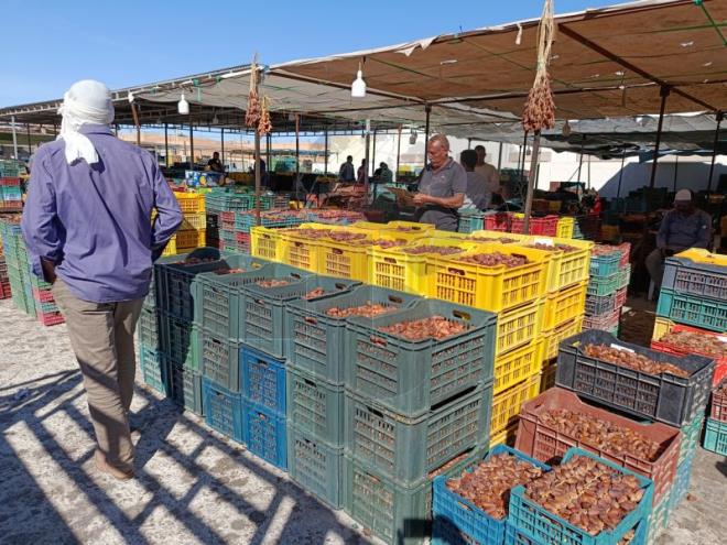 توزر: سوق الجملة للتمور بتوزر تشرع في استقبال كميات هامّة من التمور وسط دعوات لإيجاد حلول للترويج