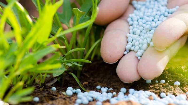 الزراعات الكبرى 2026-2027: مخزون بـ69 ألف طن من الأمونيتر وبرمجة توريد 110 آلاف طن