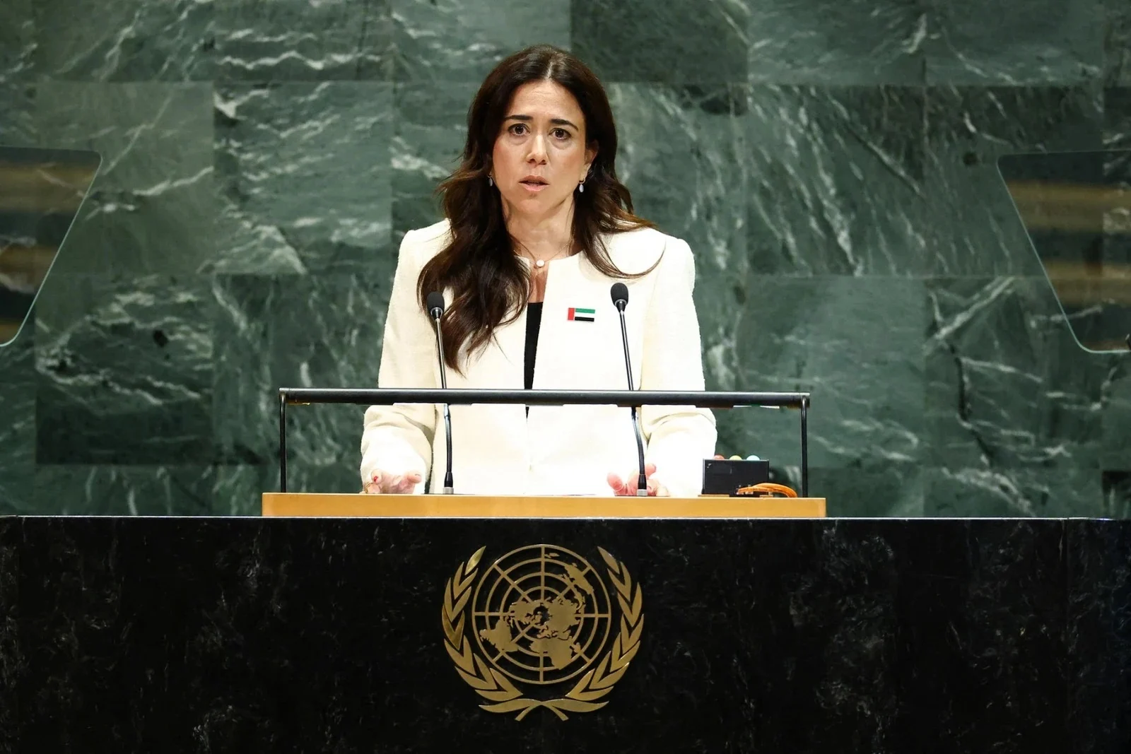 المرشحة الاماراتية لمنصب الامين العام للامم المتحدة لانا نسيبة: الأمم المتحدة أمام مرحلة مفصلية تتطلب تجديد القيادة وتفعيل الدبلوماسية