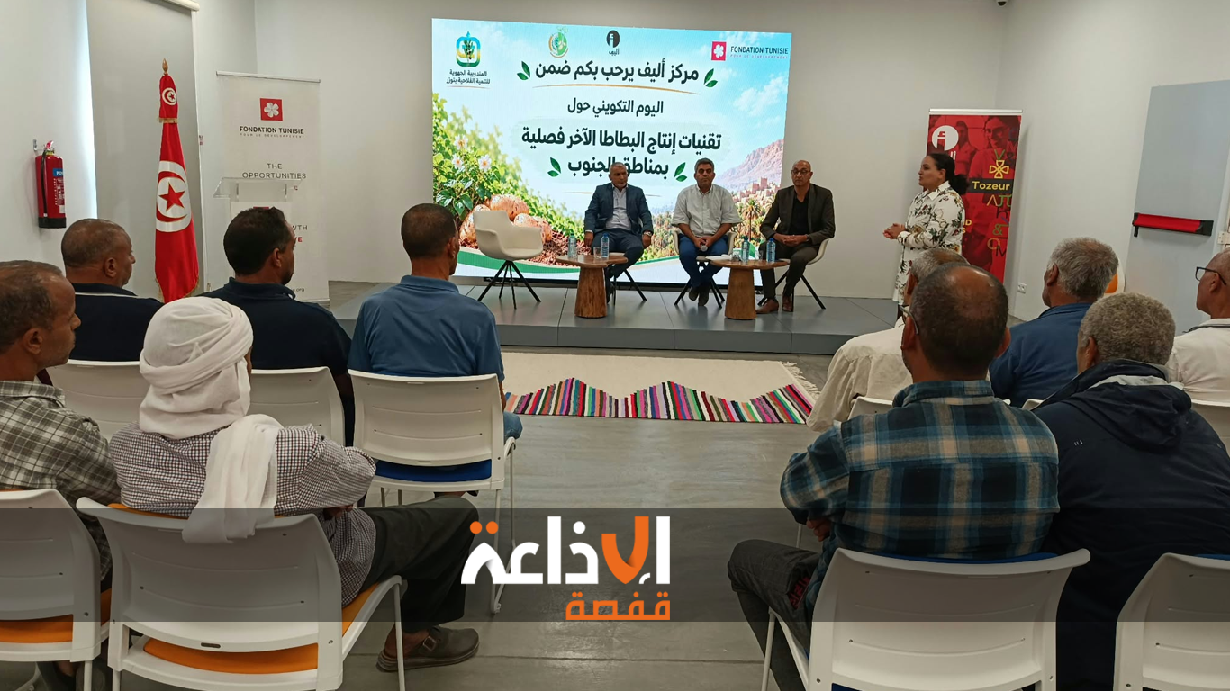 توزر : يوم تكويني حول تقنيات انتاج البطاطا الاخر فصلية بمناطق الجنوب